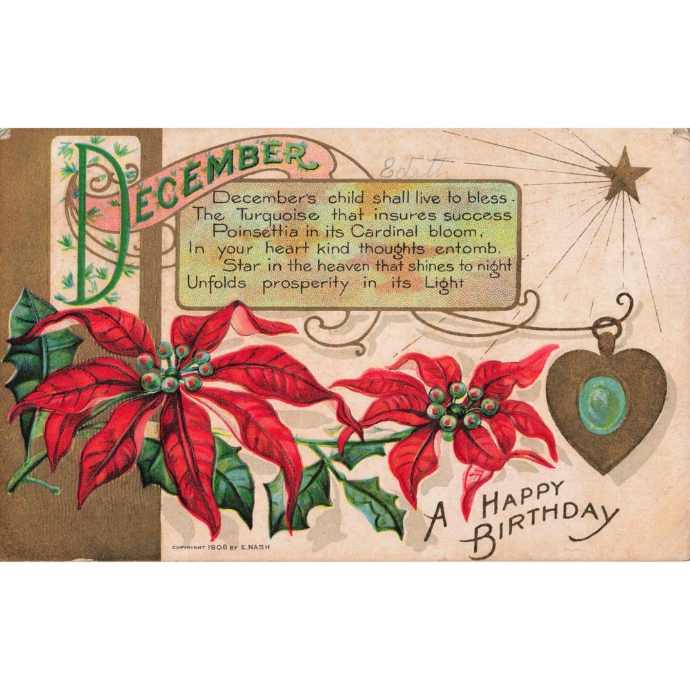 Vintage 1908 December Birthday Postcard E Nash Poinsettia Turquoise VG - Picture 1 of 2
